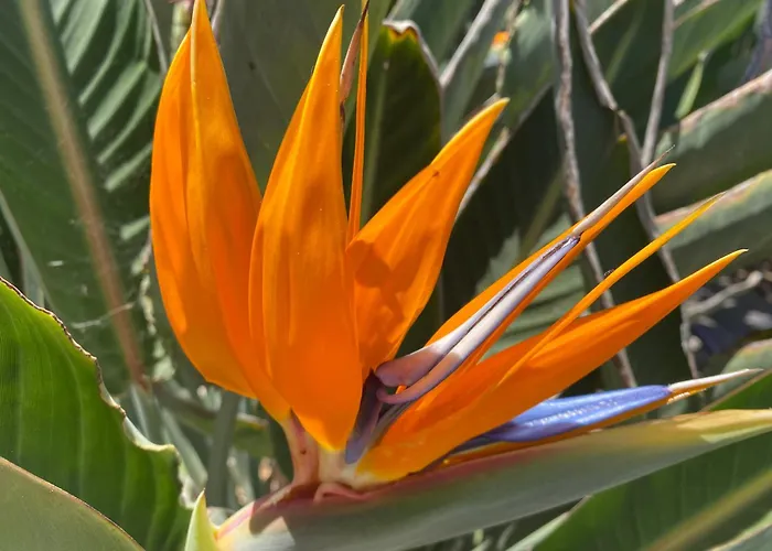 Numancia 1- 3a Apartment