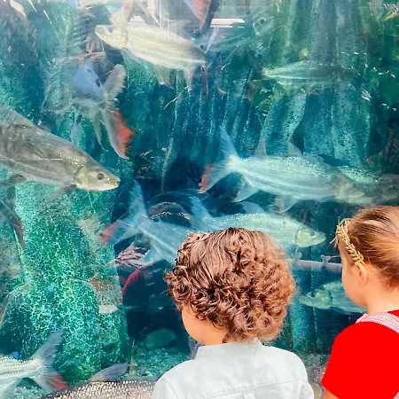 La Luz Del Alba 3a By Waveproperties *