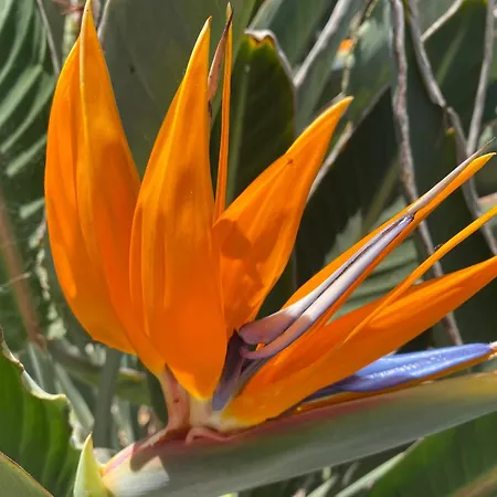 La Luz Del Alba 3a By Waveproperties Apartamento